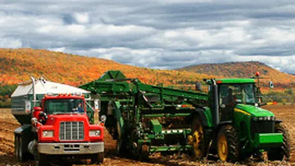 ASIGURAREA CULTURILOR AGRICOLE (P)