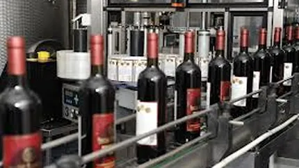 Vincon estimeaza ca va incheia anul cu afaceri de 30 mil.euro