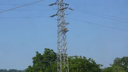 Guvernul creste pretul: Enel va plati mai mult pe actiunile EMS