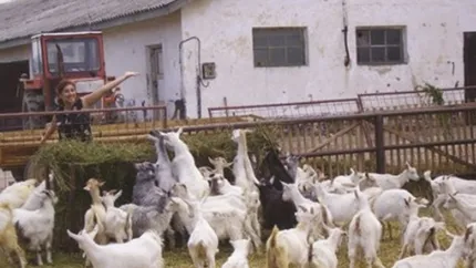 ASIGURAREA ANIMALELOR (P)