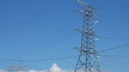 Nita: Vom privatiza pachetul majoritar la Electrica prin vanzare la bursa