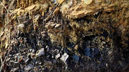 Companie chineza, interesata sa redeschida cariera de carbune brun de la Tebea