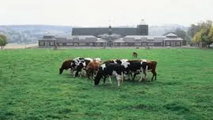 Cum vrea statul sa sprijine fermele de familie