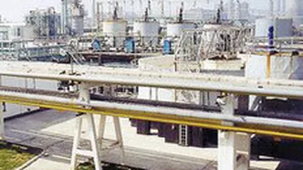 Protest al angajatilor Diviziei Petrochimice Bradu, care cer acordarea salariilor restante