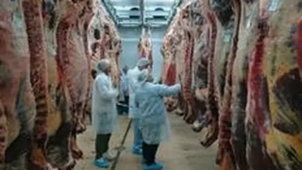 Guvenul francez va da joi un verdict in cazul Findus