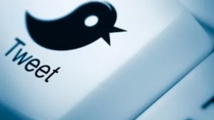 Twitter lanseaza o interfata pentru companiile de publicitate