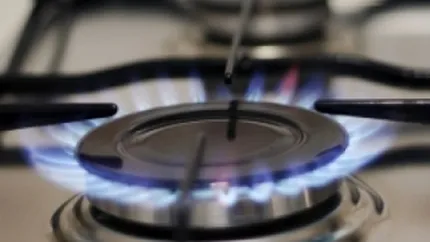 Profitul net al Transgaz a scazut anul trecut cu 27%, la 281 mil. lei