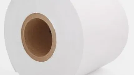 Fabrica de hartie din Drobeta Turnu Severin va fi repusa in functiune