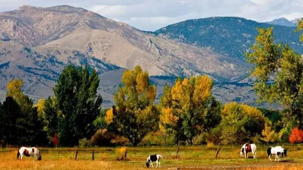 Cum arata viata in cel mai mic si mai sanatos oras din America (Galerie Foto)