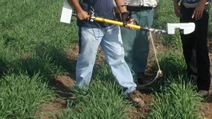 Bani pentru agricultura: 1% din fermieri primesc jumatate din totalul subventiilor