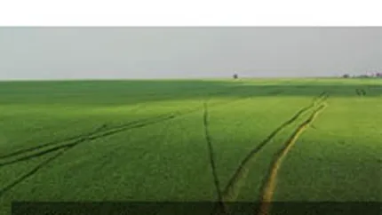 Nikolaus Mann, trimis in judecata pentru devalizarea Aton cu 33 mil. euro