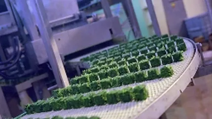 Industria chimica din Romania, un posibil motor de relansare a economiei