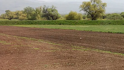 BRM recunoaste: Produsele agricole, tranzactionate sporadic la Bursa