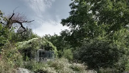 Inghitit de natura: Garajul din munti transformat in casa-gradina (Galerie Foto)