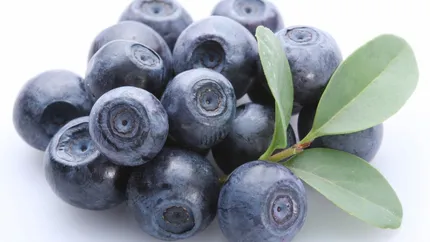 Scandalul fructelor cu hepatita A din Italia ar putea afecta exporturile romanesti de afine