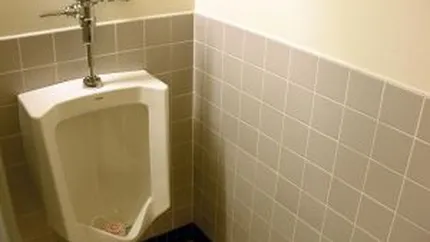 Cat ii costa pe britanici renovarea a doua toalete pentru Camera Lorzilor