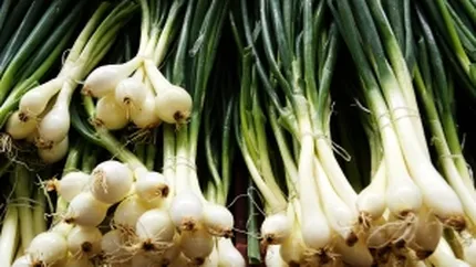 Ceapa romaneasca pe cale de disparitie. Importurile au crescut cu 72% in primele 4 luni