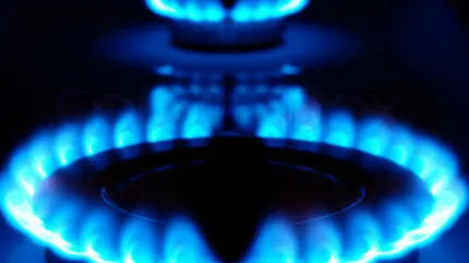 Romgaz demareaza marti Oferta Publica Initiala