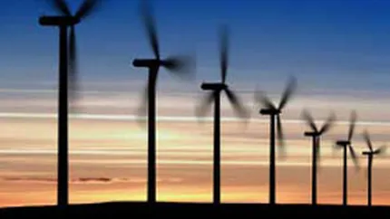 Guvernul reduce sprijinul acordat producatorilor de energie regenerabila, din 1 ianuarie