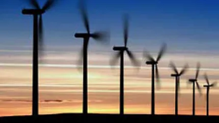 Productia de energie regenerabila a ajuns la un record istoric, dar subventiile vor fi reduse din acest an