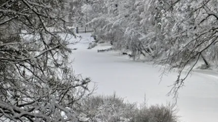 Ponta, Dragnea si Oprea se gandesc sa declare stare de alerta