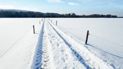 Primar din Buzau: Firmele care fac deszapezirea isi bat joc, nu raspund la telefon de 3 zile