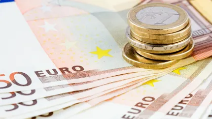 Rezervele valutare ale Romaniei au crescut usor in ianuarie