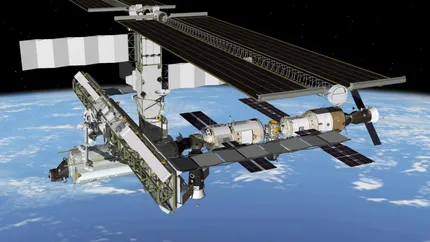 Prima recolta de legume proaspete obtinuta in spatiu