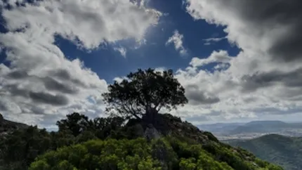 Investitiile in mediu ar putea genera venituri uriase pentru statele UE