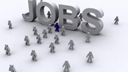Locuri de munca: In ce domenii au fost cele mai multe oferte in 2013