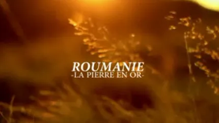 Un francez vorbeste impresionant despre Romania: Ascunde o comoara (Video)