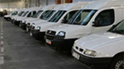 Coface: 80% din firmele de distributie profitabile au probleme de lichiditate