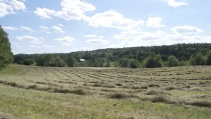 Parchetul General a inceput urmarirea penala in cazul terenurilor din Nana, judetul Calarasi
