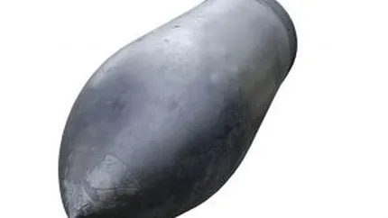 MApN vrea sa achizitioneze 18 torpile usoare antisubmarin