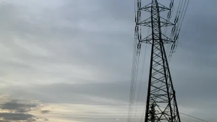 Alro: Bursa de energie din Romania arata ca in Evul Mediu