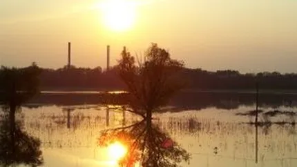 Ce daune estimeaza Omniasig ca va plati in urma ploilor si inundatiilor