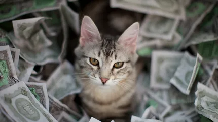 Tara in care un credit ipotecar vine la pachet cu o pisica