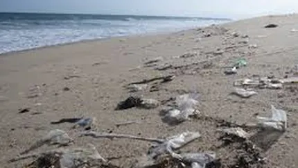 80 de tone de gunoaie au ramas pe plaje