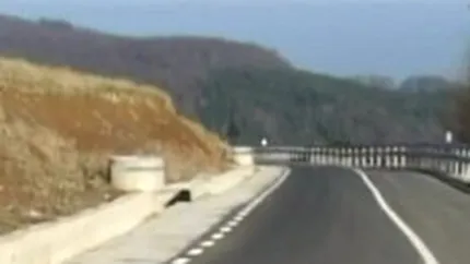 Una dintre cele mai spectaculoase sosele montane din Romania, redeschisa dupa 3 ani de lucrari