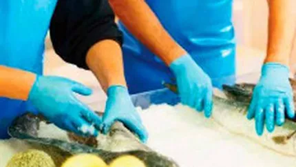 Industria care si-a redus datoriile la banci, dar nu isi poate plati toti furnizorii