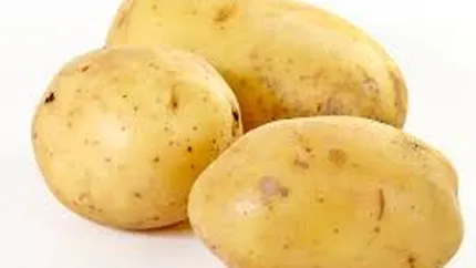 Producatorii cer includerea cartofului pe lista alimentelor cu TVA redus la 9%