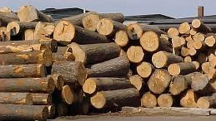 Industria mobilei din Romania, amenintata cu disparitia