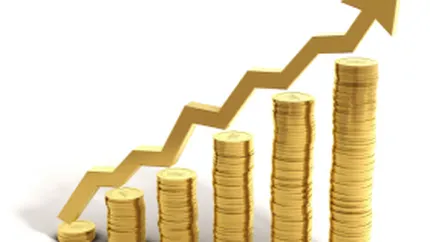 Carpatica a trecut pe profit in primul trimestru