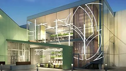 Salata crescuta la bec: Cum va arata cea mai mare ferma verticala din lume