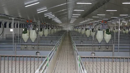 Producatorul de carne de porc Degaro imprumuta 20 mil. euro de la Unicredit