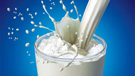 Răscoala fermierilor: Cum a ajuns laptele să fie mai ieftin decât apa în Europa