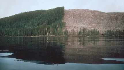 Reactia austriecilor de la Holzindustrie Schweighofer la raportul EIA privind taierile ilegale de paduri