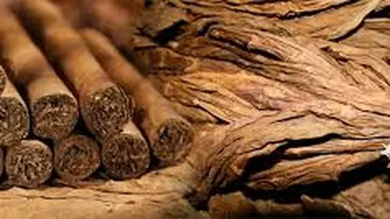 Cel mai mare importator de vinuri din Romania a intrat pe piata de tabac