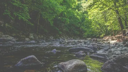 Petitie impotriva construirii unei microhidrocentrale pe Nera