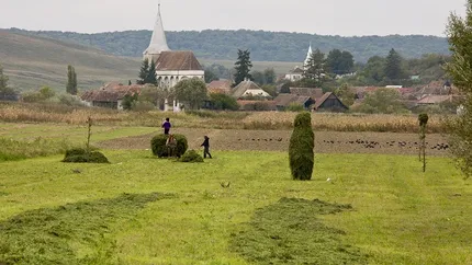 Ferme mici vs ferme mari: De ce ar trebui sprijinita agricultura de semi-subzistenta in Romania